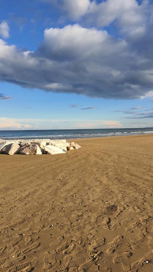 Bnb Fano Collina. La Pace Di Una Vacanza Piagge Eksteriør billede