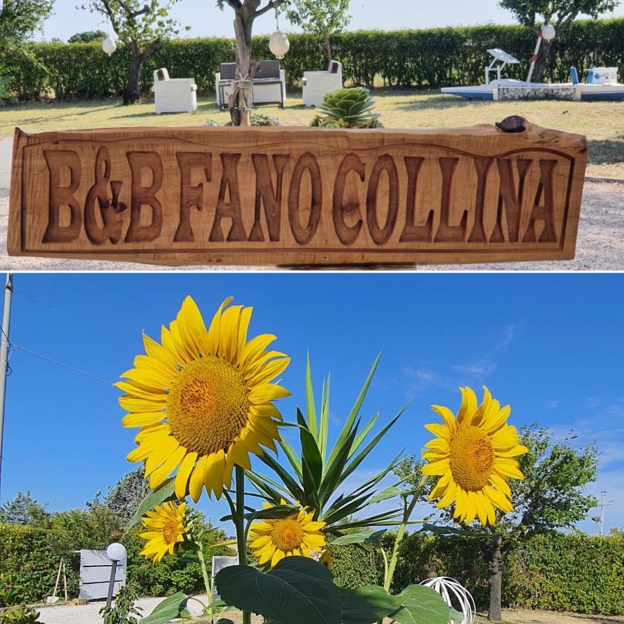 Bnb Fano Collina. La Pace Di Una Vacanza Piagge Eksteriør billede