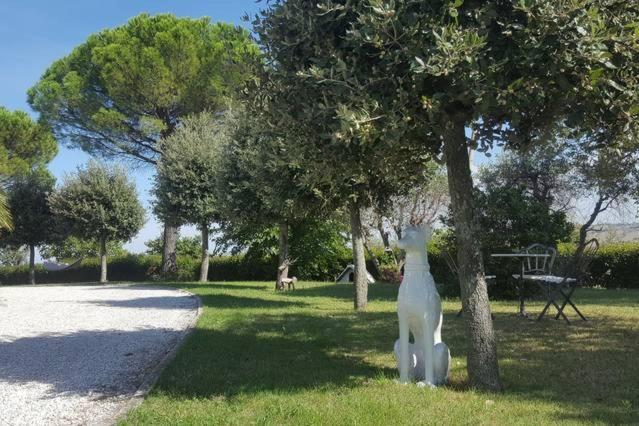 Bnb Fano Collina. La Pace Di Una Vacanza Piagge Eksteriør billede