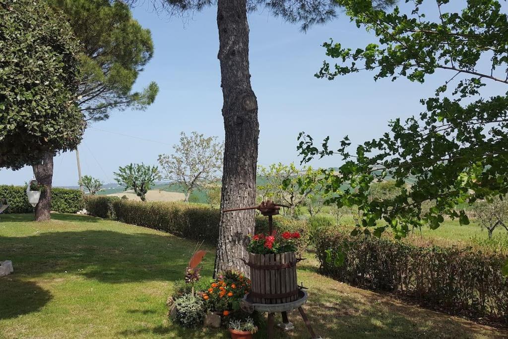 Bnb Fano Collina. La Pace Di Una Vacanza Piagge Eksteriør billede