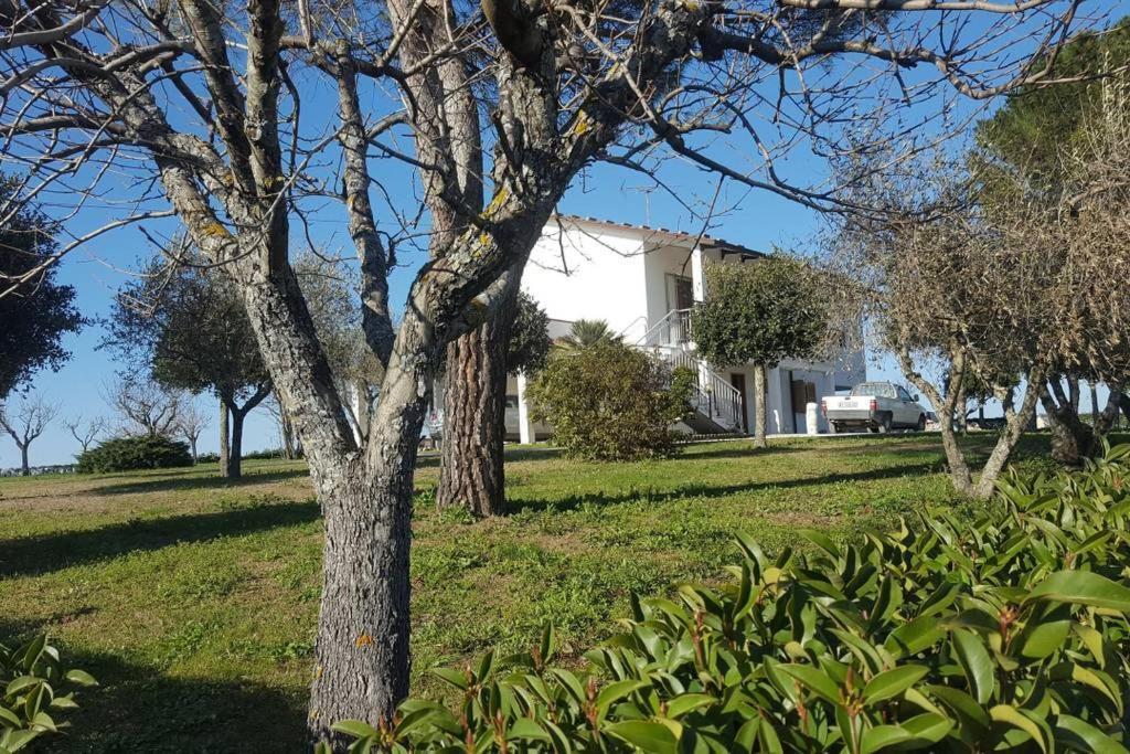 Bnb Fano Collina. La Pace Di Una Vacanza Piagge Eksteriør billede